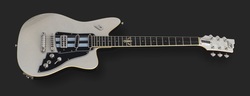 Duesenberg Alliance Series Dave Baksh SUM41 Paloma E-Gitarre